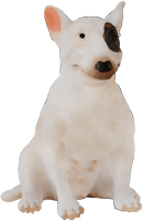 a bull terrier dog